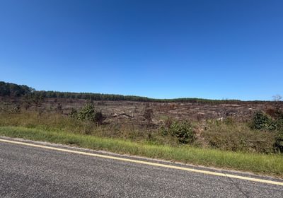 272 IMG 0454