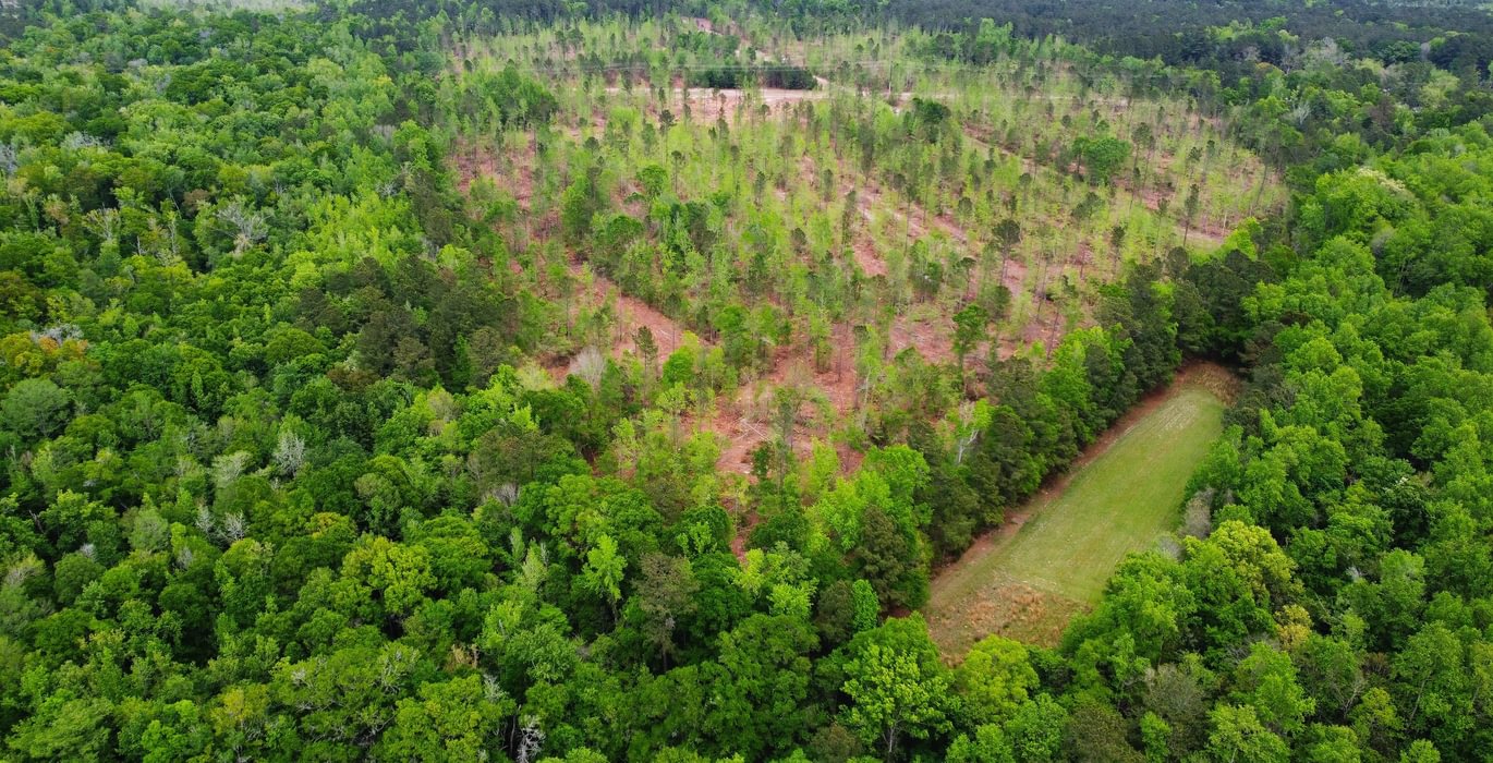 274 2dji fly 20260407 145022 211 1775587912760 photo optimized