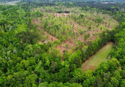 274 2dji fly 20260407 145022 211 1775587912760 photo optimized