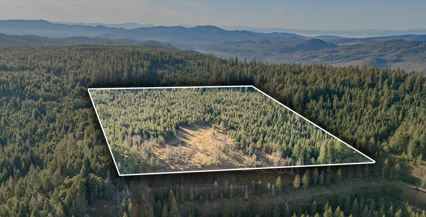 275 DJI 20260203100226 0070 D copy