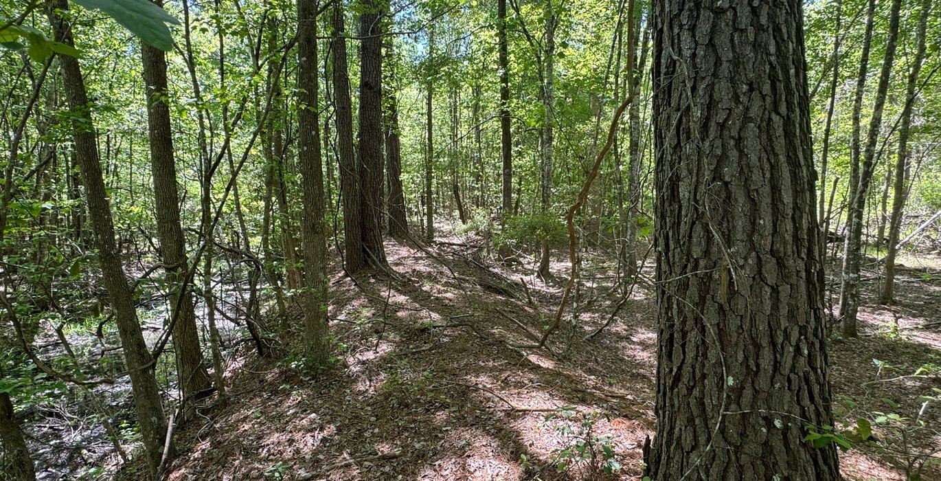 276 IMG 4274