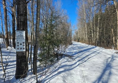277 22 RR bed recreation trail nearby