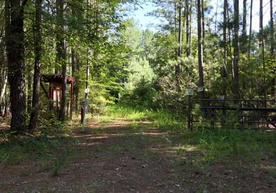 277 Enoree Creek Photo 1