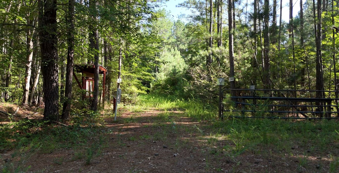 277 Enoree Creek Photo 1