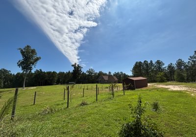 277 IMG 4875