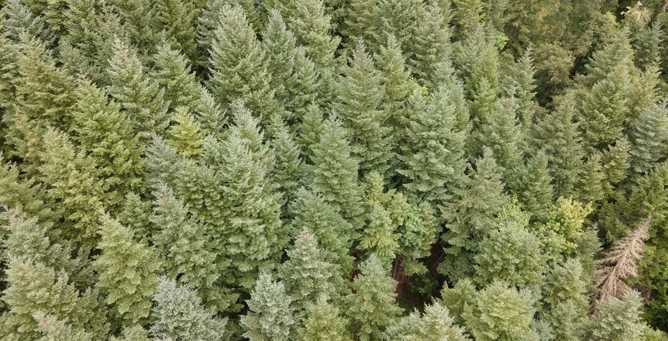 278 DJI 0648 HDR25