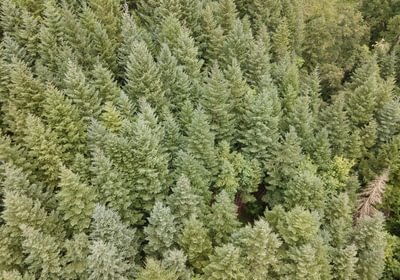 278 DJI 0648 HDR25