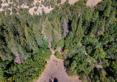 278 DJI 0905