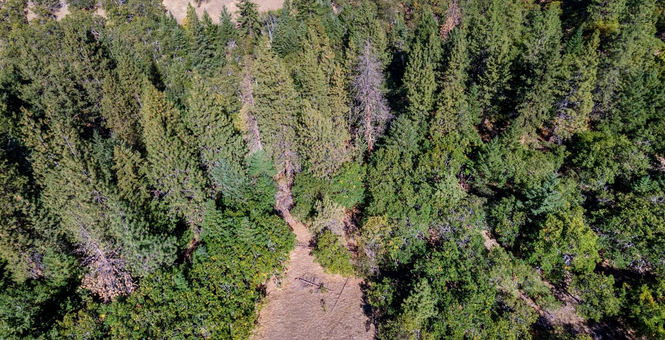 278 DJI 0905
