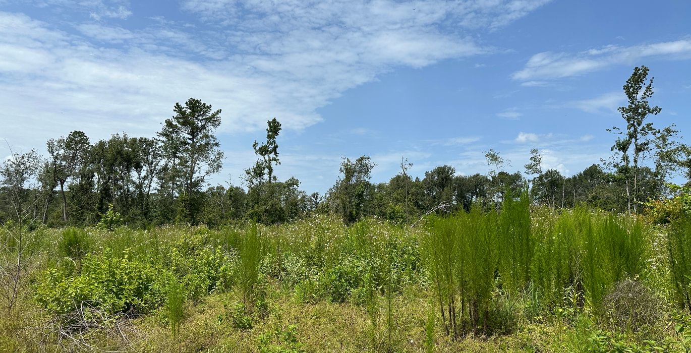 279 IMG 6324