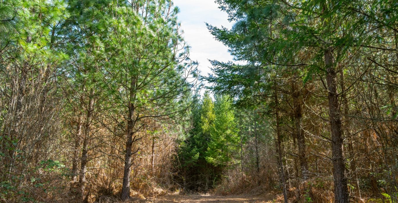280 Bellinger Road 26