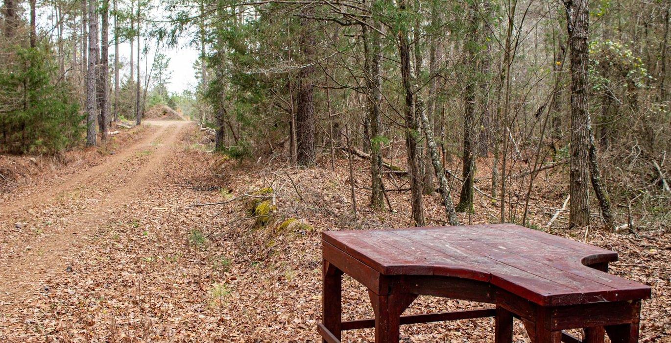 280 FORTLAWN IMG 6813