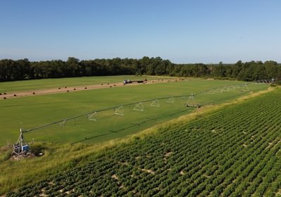 281 DJI 0244