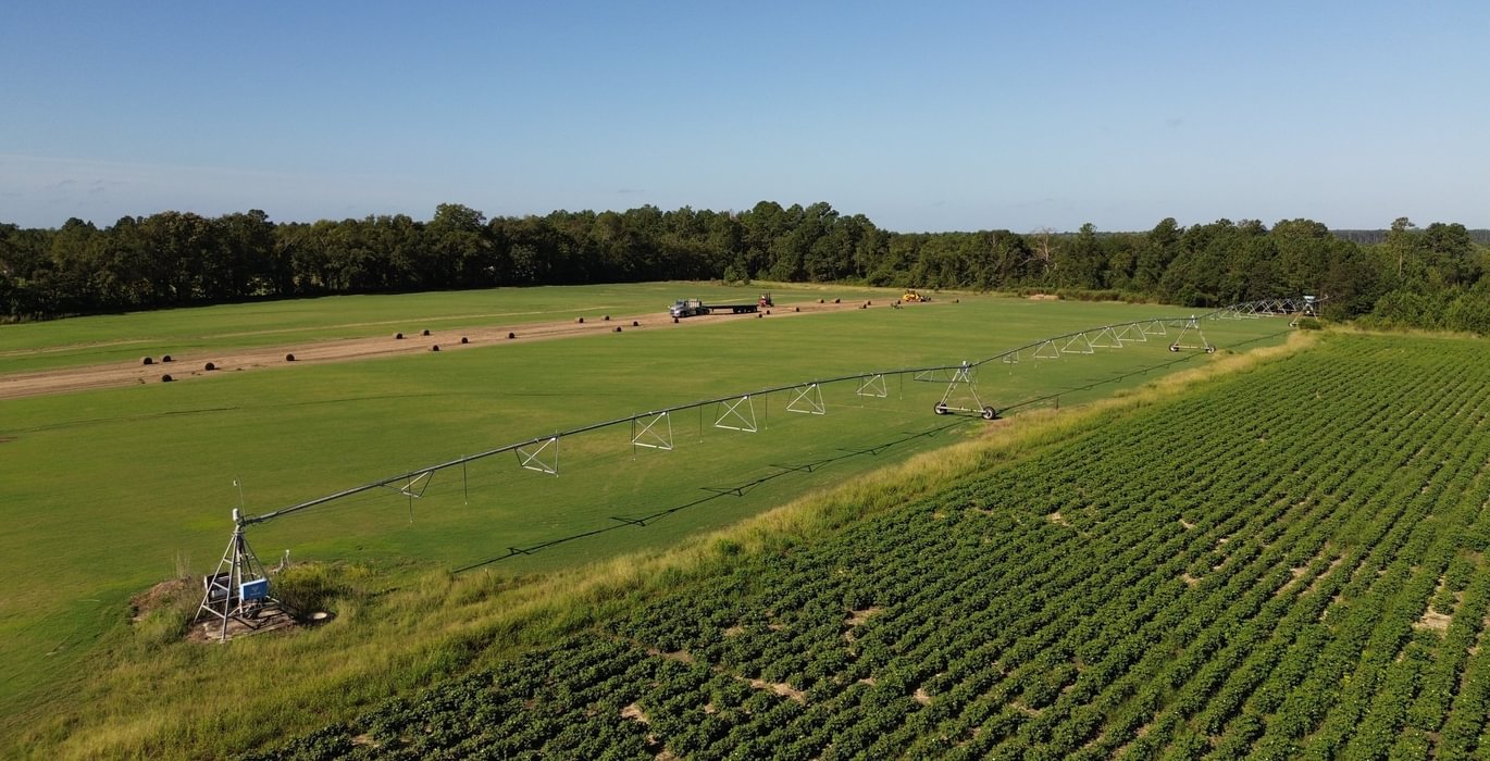 281 DJI 0244
