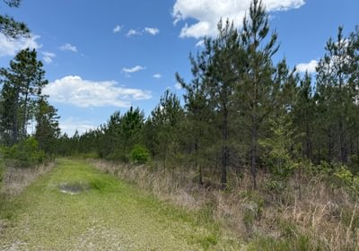 281 IMG 0103