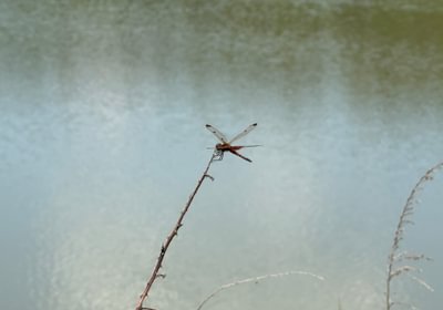 282 IMG 0249