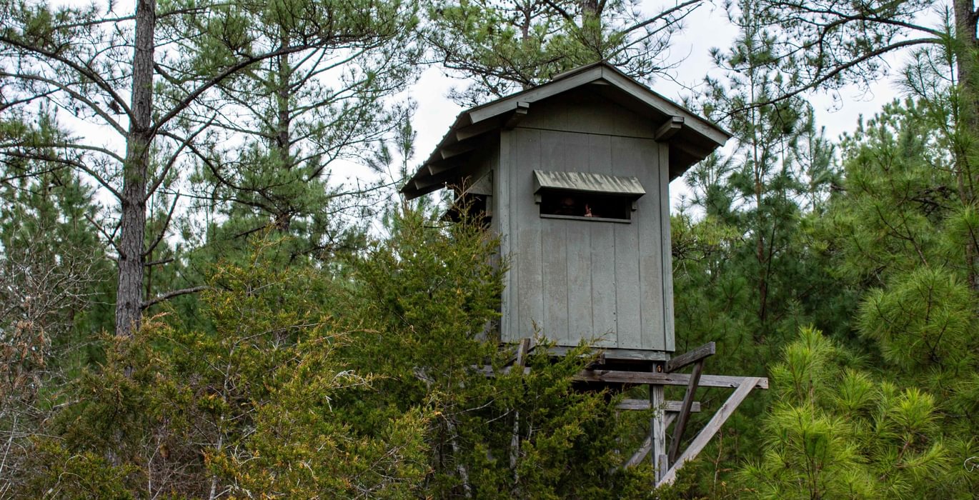 283 FORTLAWN IMG 6819