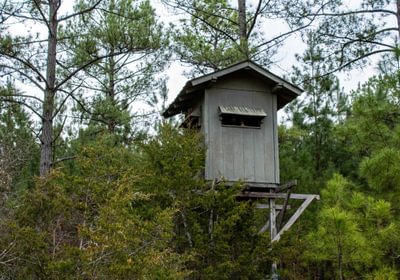 283 FORTLAWN IMG 6819