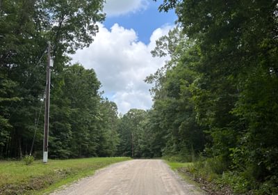 283 IMG 3981