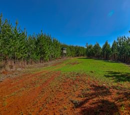 284 AFM Island Creek Farms 27