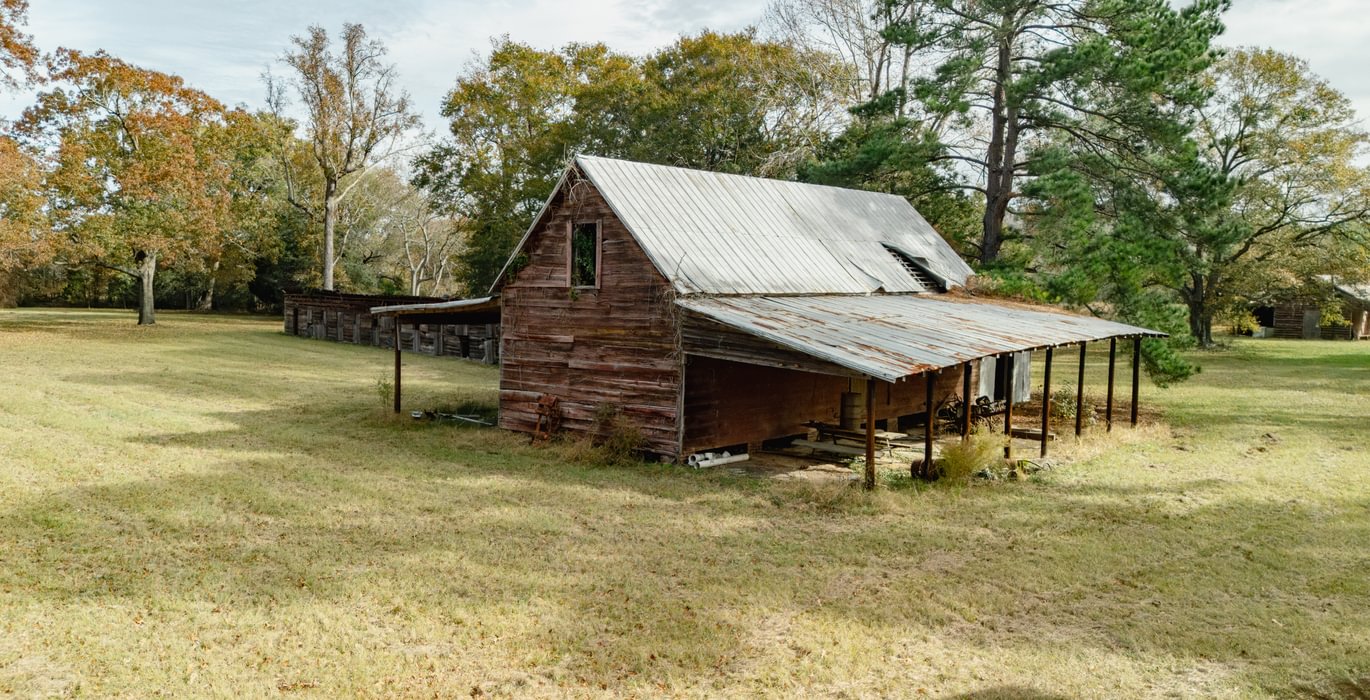 284 DJI 20251125101832 0784 D 1