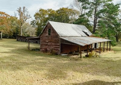 284 DJI 20251125101832 0784 D 1