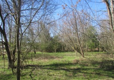 284 IMG 0571
