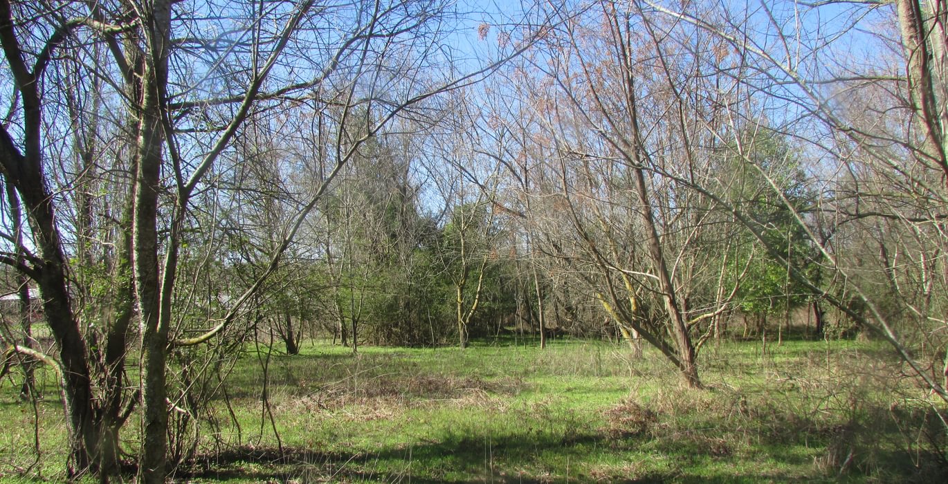 284 IMG 0571