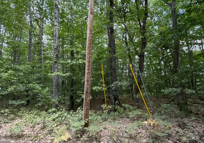 284 electric pole nearby