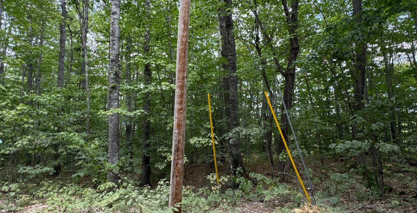 284 electric pole nearby