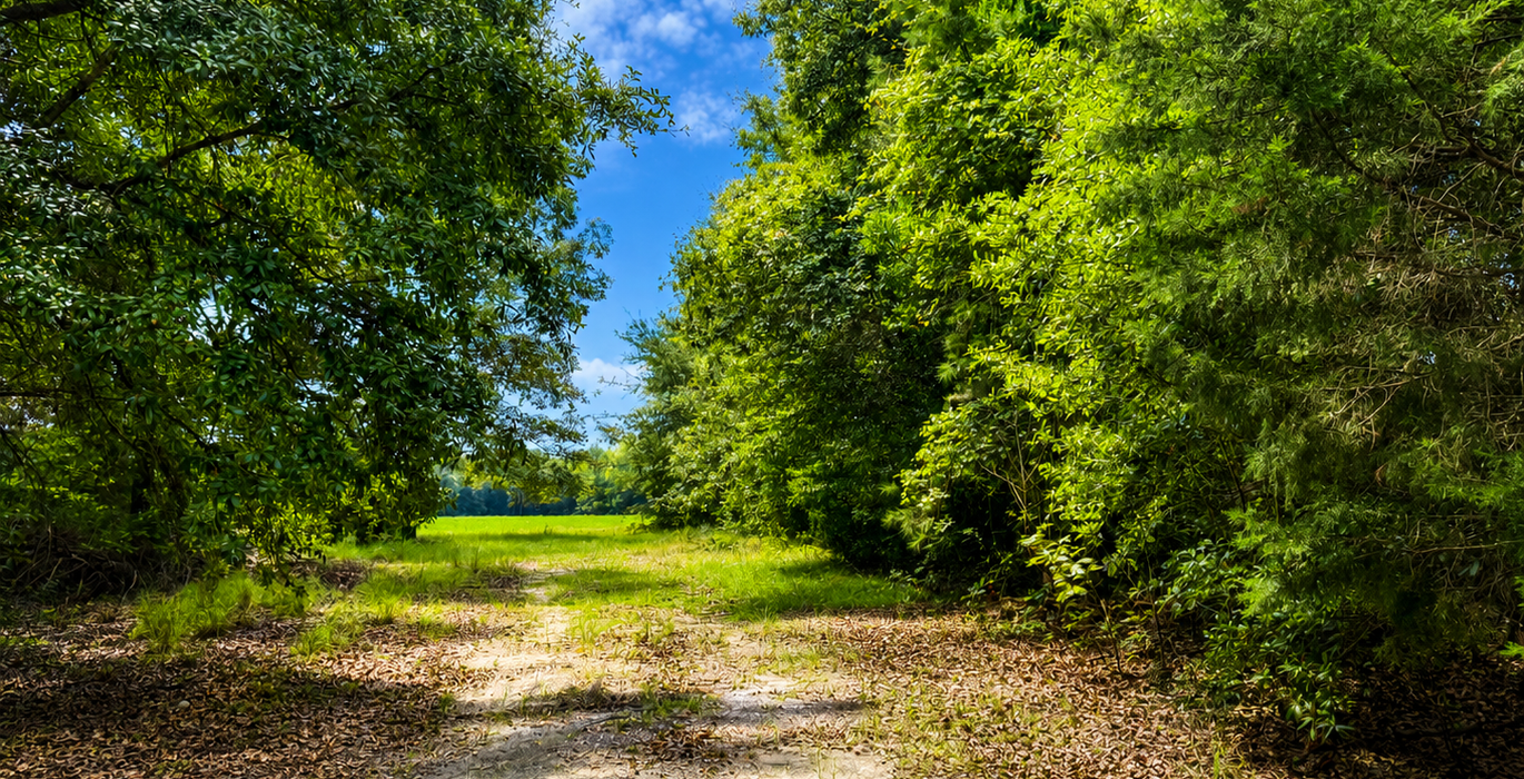 285 Rd Leading to field