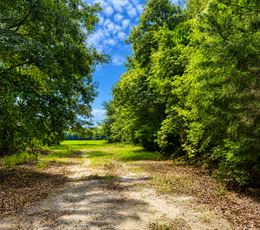 285 Rd Leading to field
