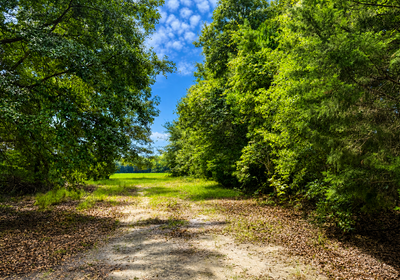 285 Rd Leading to field