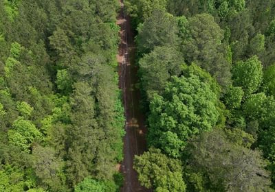 286 Mc Call Capelsie 3