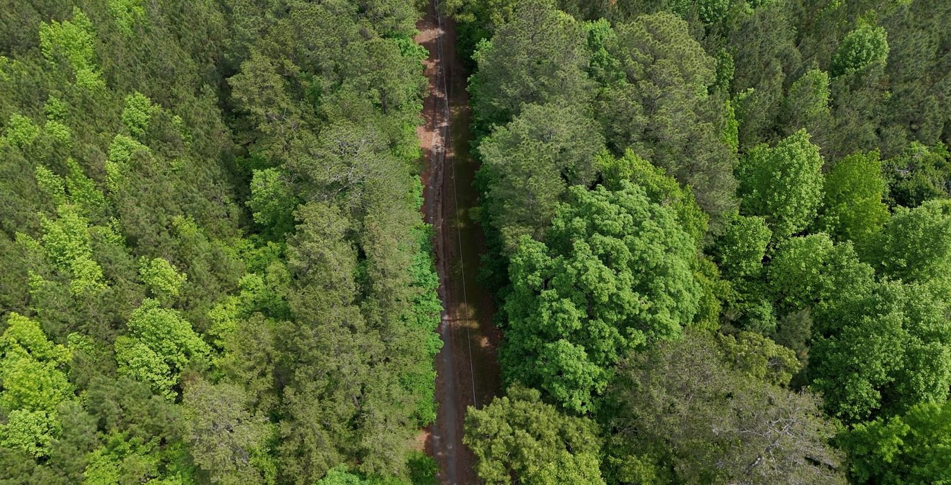 286 Mc Call Capelsie 3