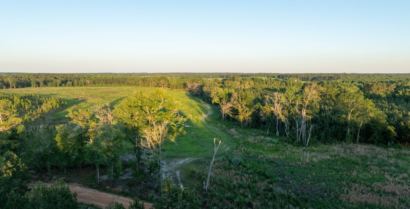 287 DJI 0926