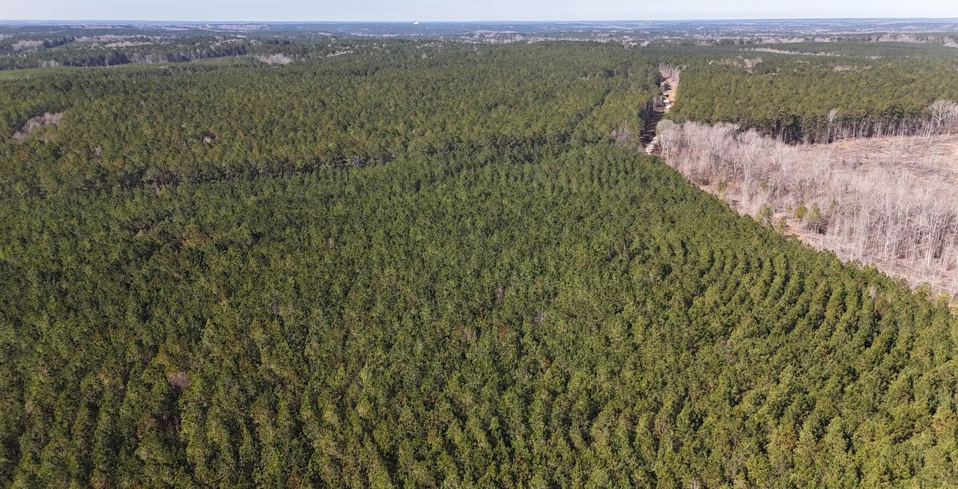 288 DJI 20250224110333 0014 D