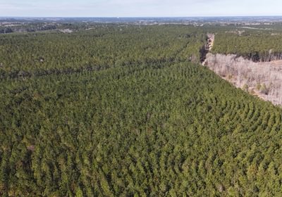 288 DJI 20250224110333 0014 D