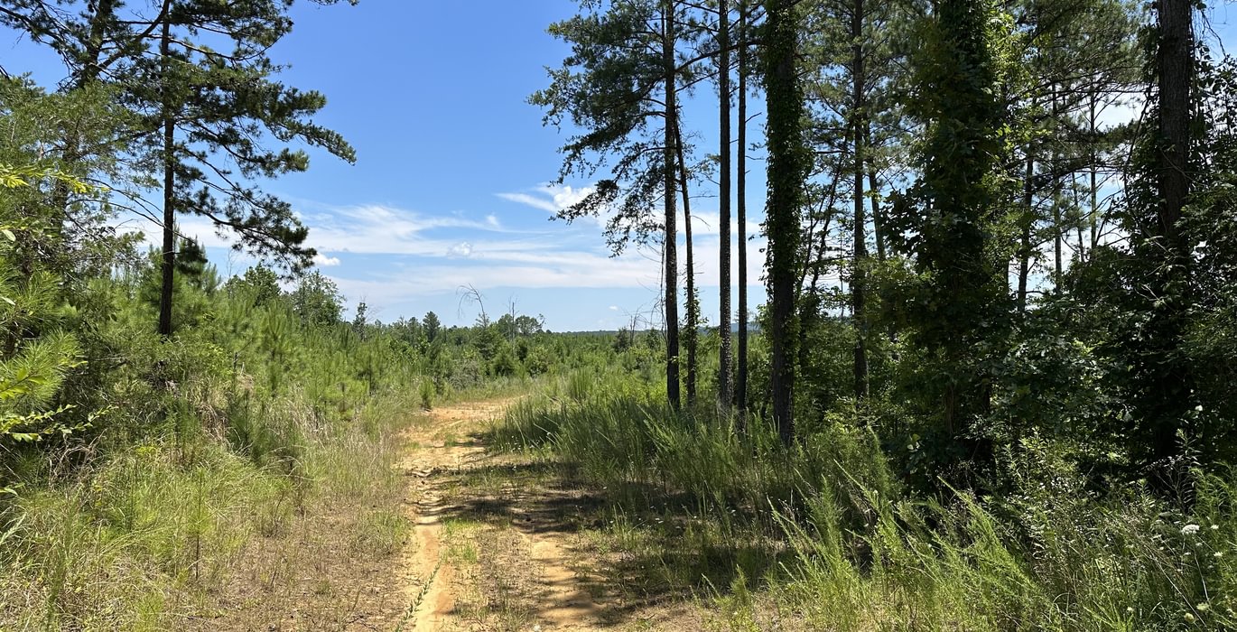 288 rd IMG 5782