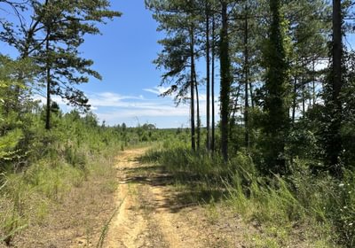288 rd IMG 5782