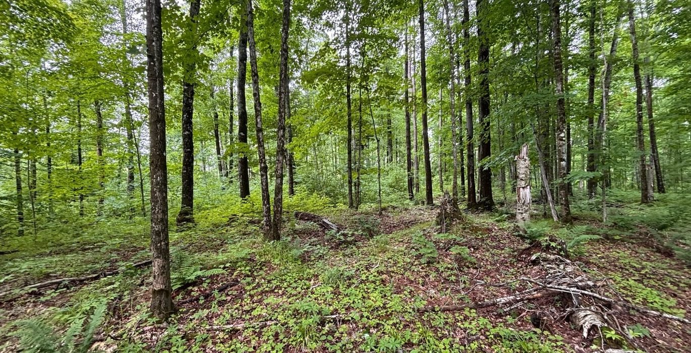 289 beartown 5