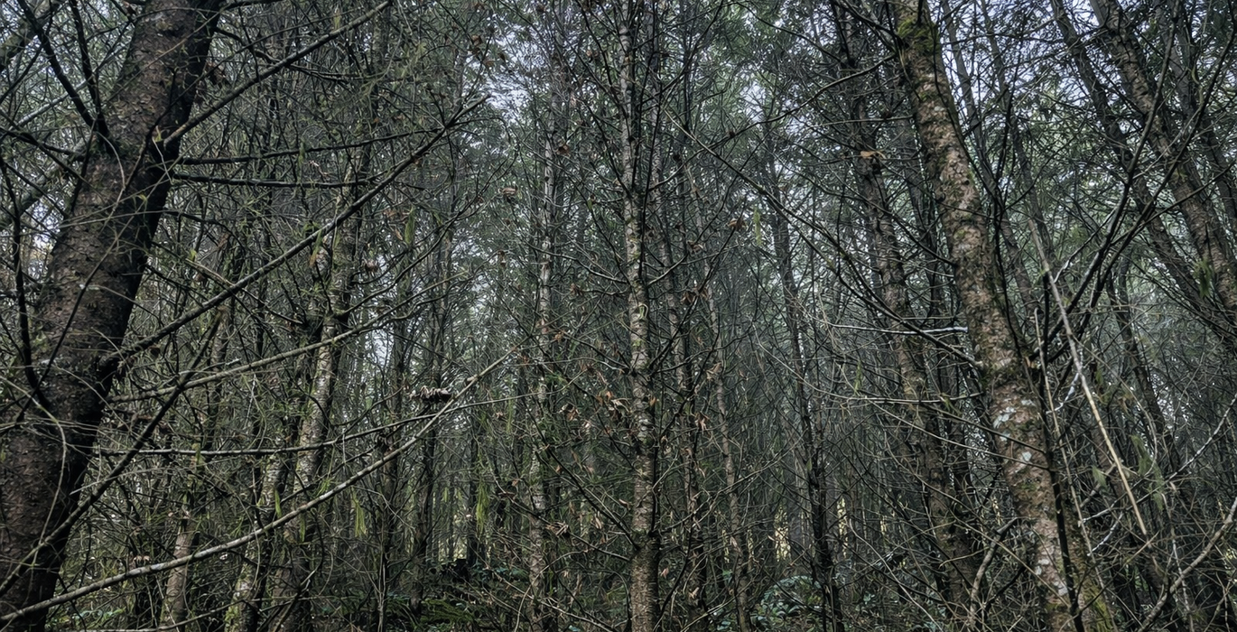 28 Chat GPT Image Jan 13 2026 at 05 07 01 PM