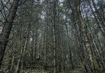 28 Chat GPT Image Jan 13 2026 at 05 07 01 PM