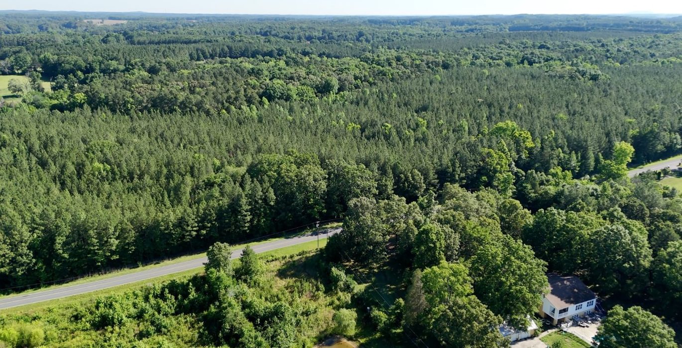 290 AFM Vineyard Road Tract A Photo 7