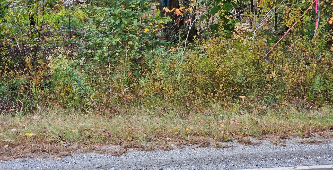 290 Boundary corner along S Clary R Oad