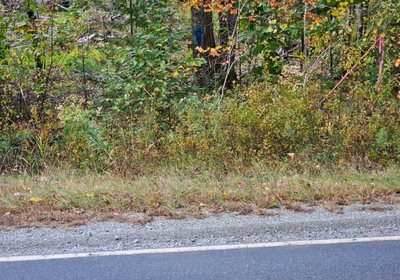 290 Boundary corner along S Clary R Oad