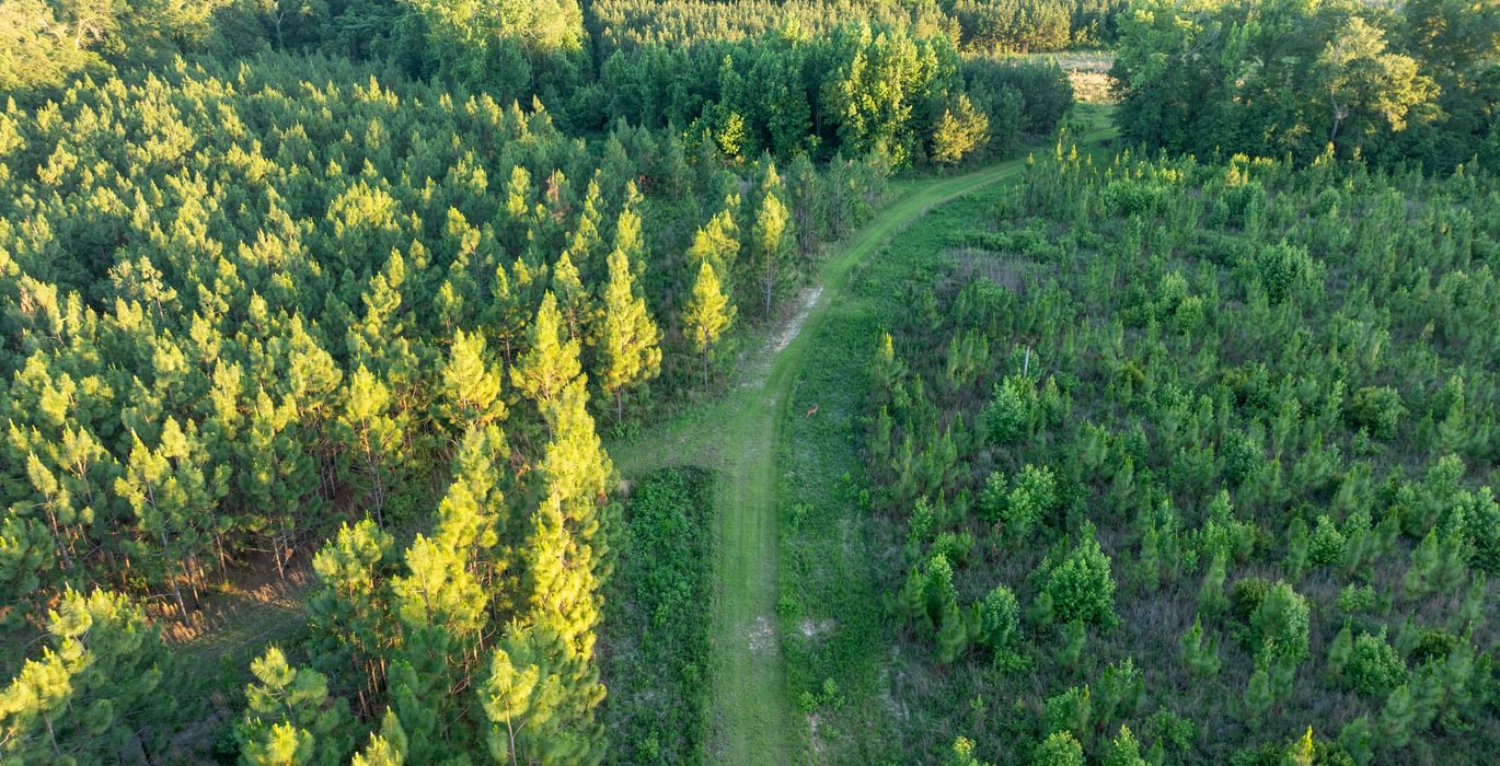 290 DJI 0929