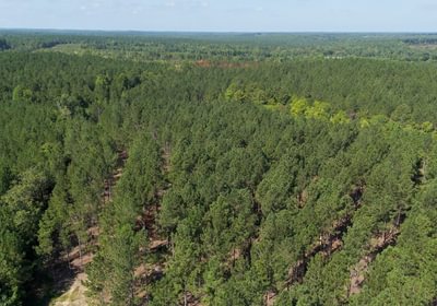 291 Cabin Creek Photo 14