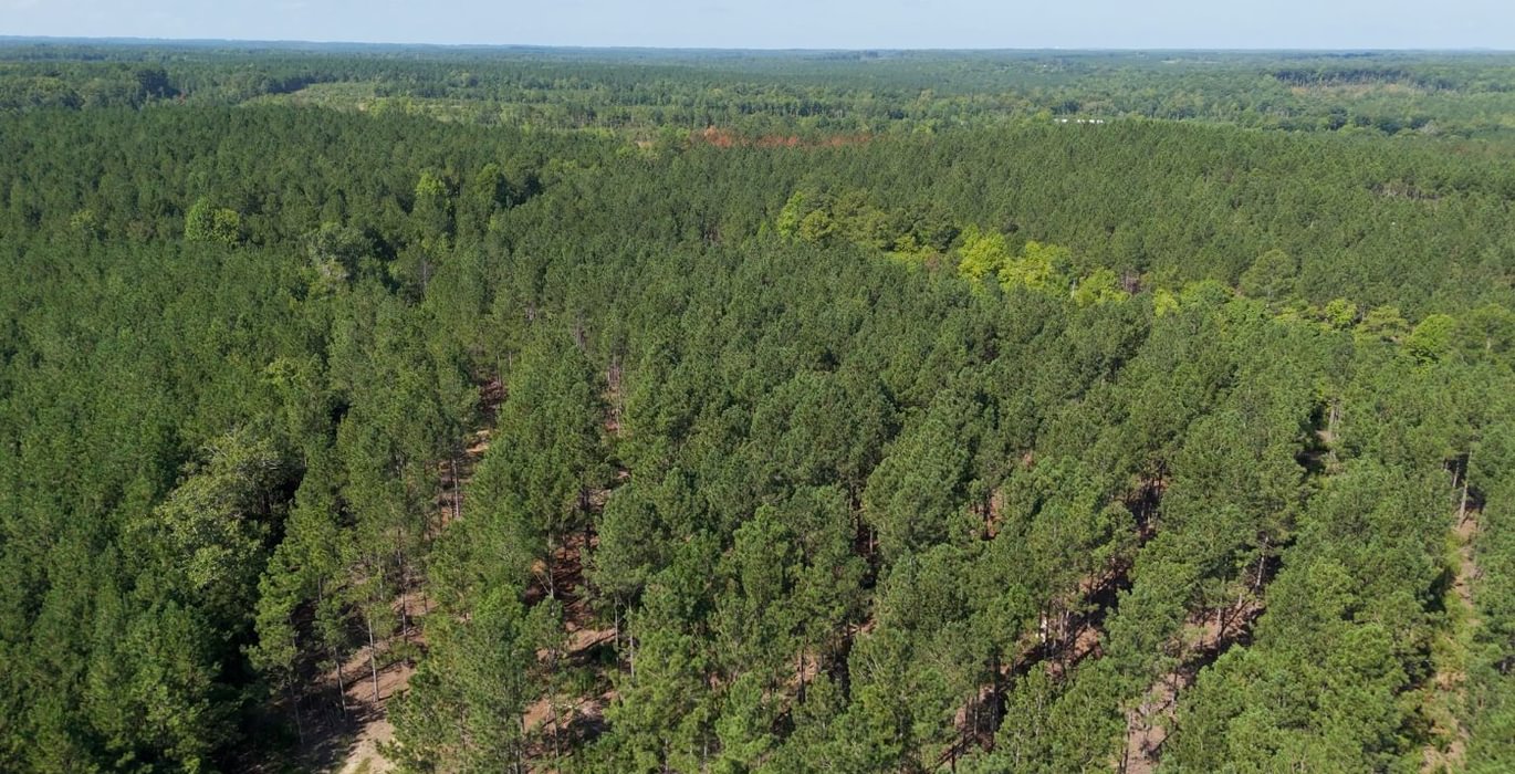 291 Cabin Creek Photo 14
