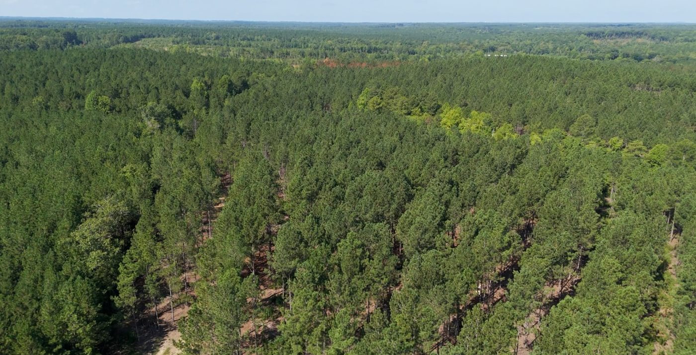 291 Cabin Creek Photo 14